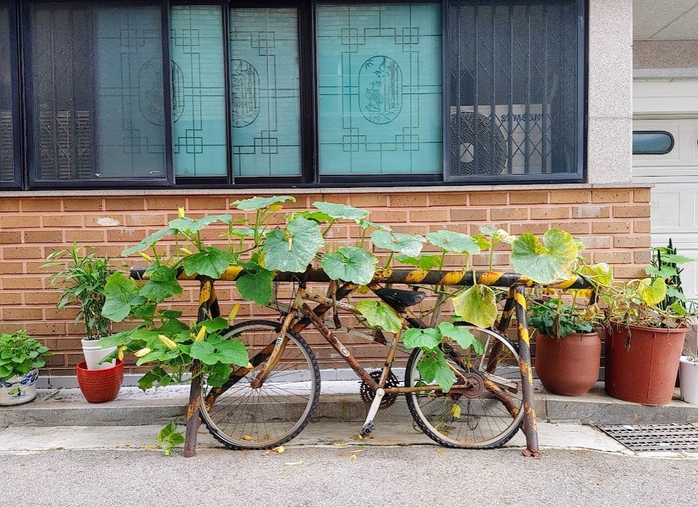 [Green&Grey] 자전거 탄 호박