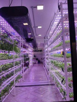 드림팜 수직농장