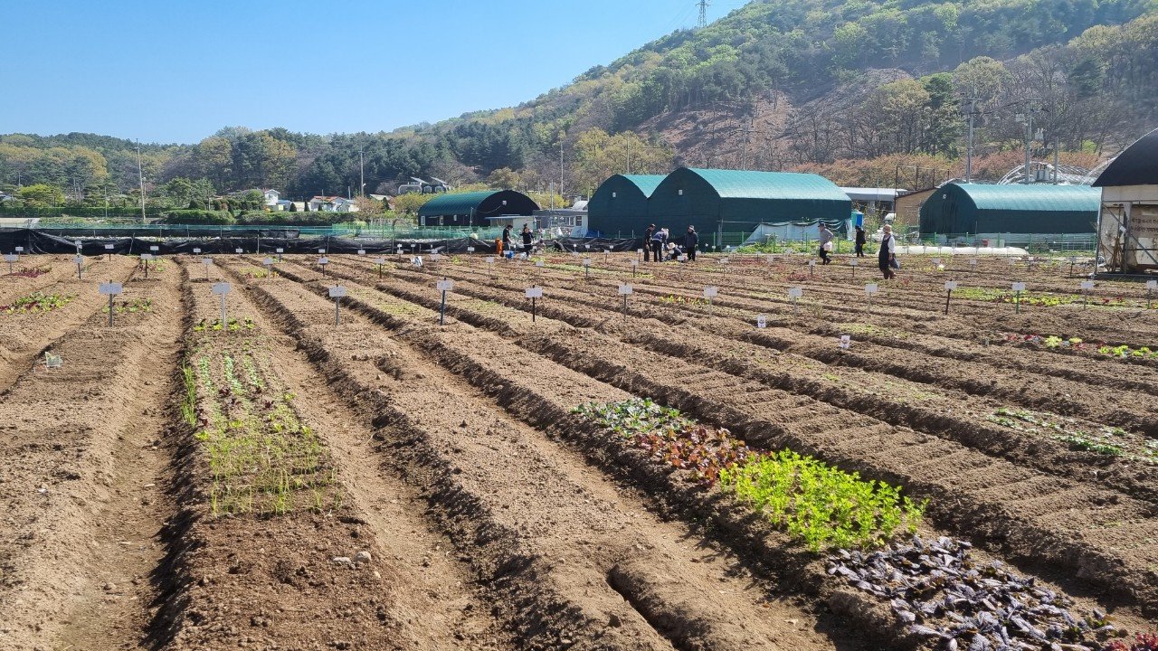 친환경 주말농장을 통해 우리가 배울 수 있는 것