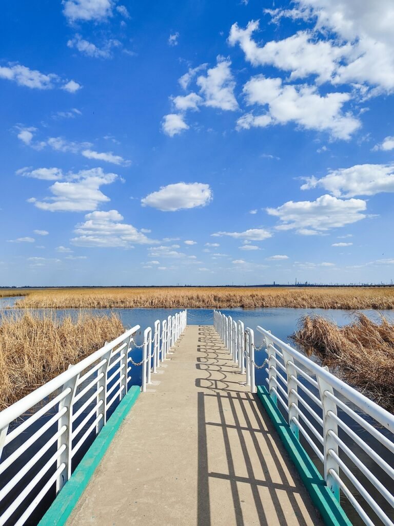 bridge, nature reserve, wetlands, clouds, scenery, blue sky, nature, spring, scenery, nature, nature, nature, nature, nature