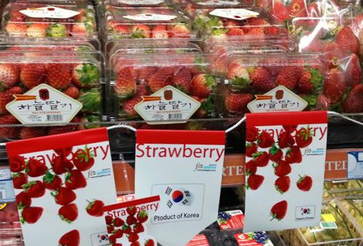 수출 딸기 이미지