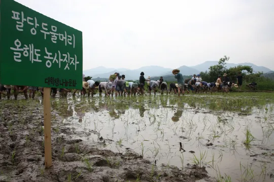 두물머리 유기농 단지