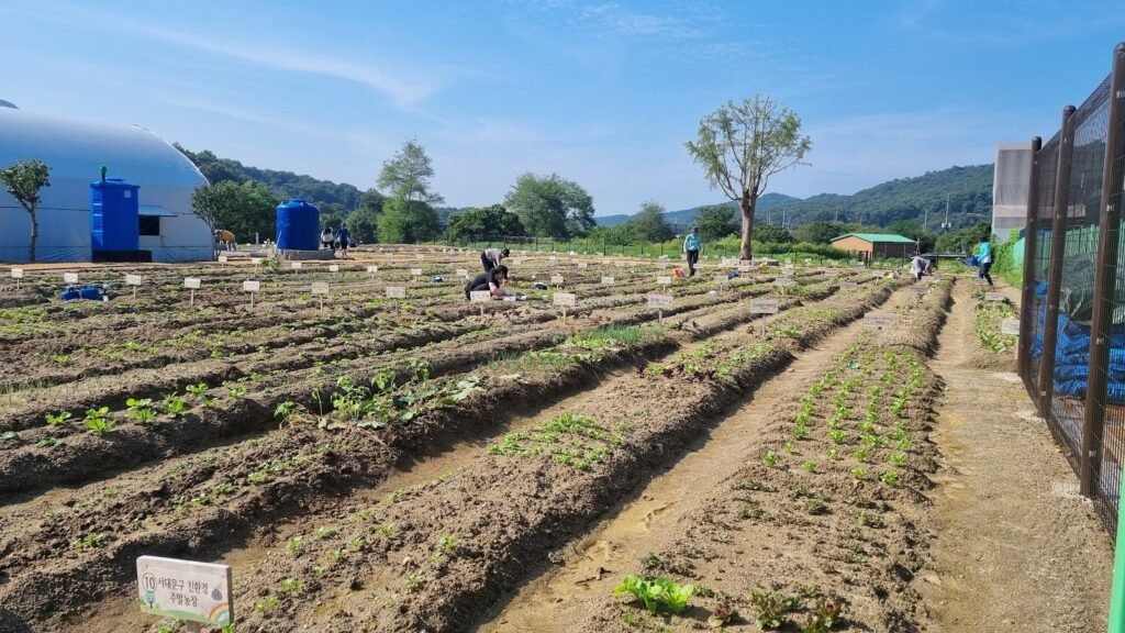 주말농장