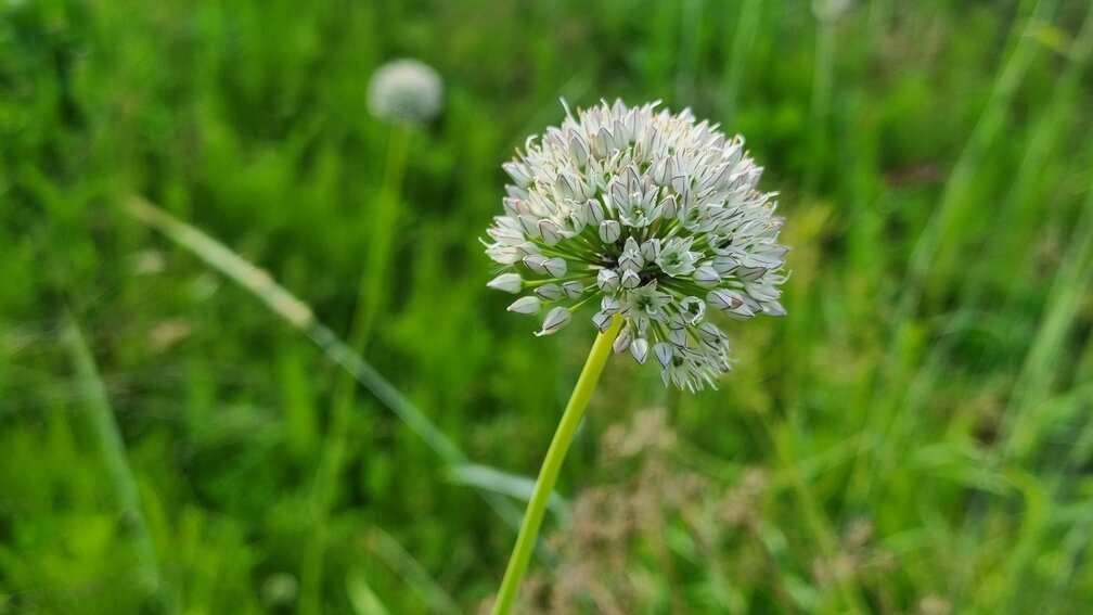 9,719억 원의 가능성, 씨앗과 묘목이 만드는 ‘뿌리 깊은’ 혁신