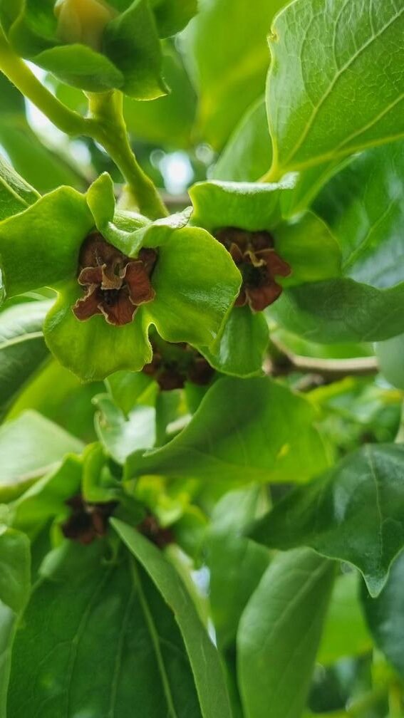 2026년 농식품부 예산 20조 시대, ‘따뜻한 기술’은 어디로 향하는가?