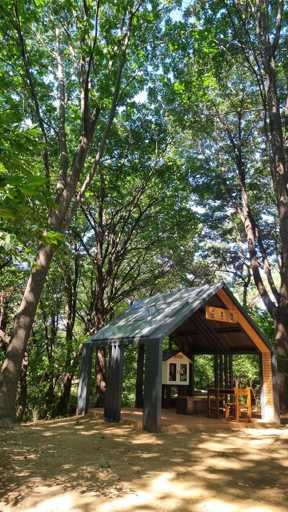 [호미농부 칼럼] 20조 원의 예산과 하늘의 위성, 우리 농촌의 ‘따뜻한 기술’이 되다