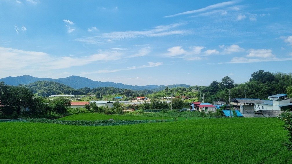 시골 농촌 논 밭 전경