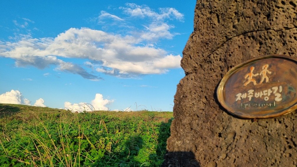 0과 1의 세상에 ‘윤리’라는 온기를 더하다… 인공지능 안전 비전 선포