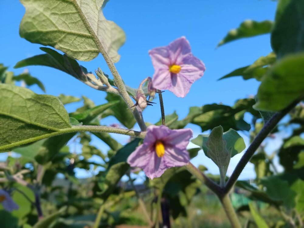 국회통과 ‘필수농자재 지원법’의 핵심… 가격 예측부터 3단계 방어막까지