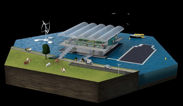 로테르담 항구에 떠 있는 '플로팅 팜(Floating Farm)'