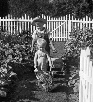 victory garden