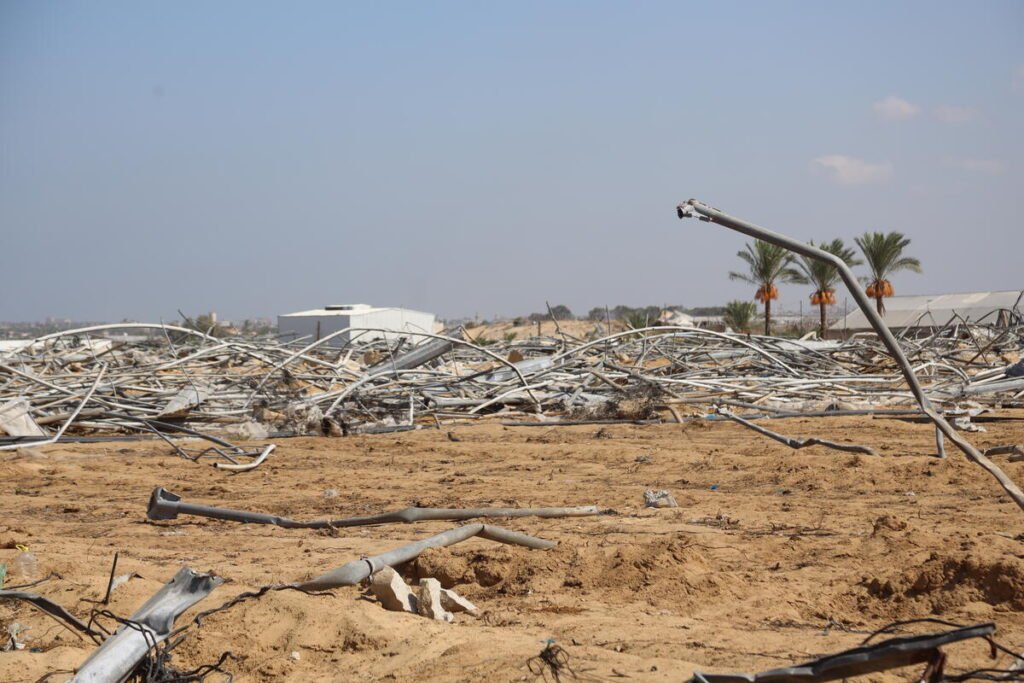 Gaza Strip. Destroyed and damaged farmland and agricultural infrastructure