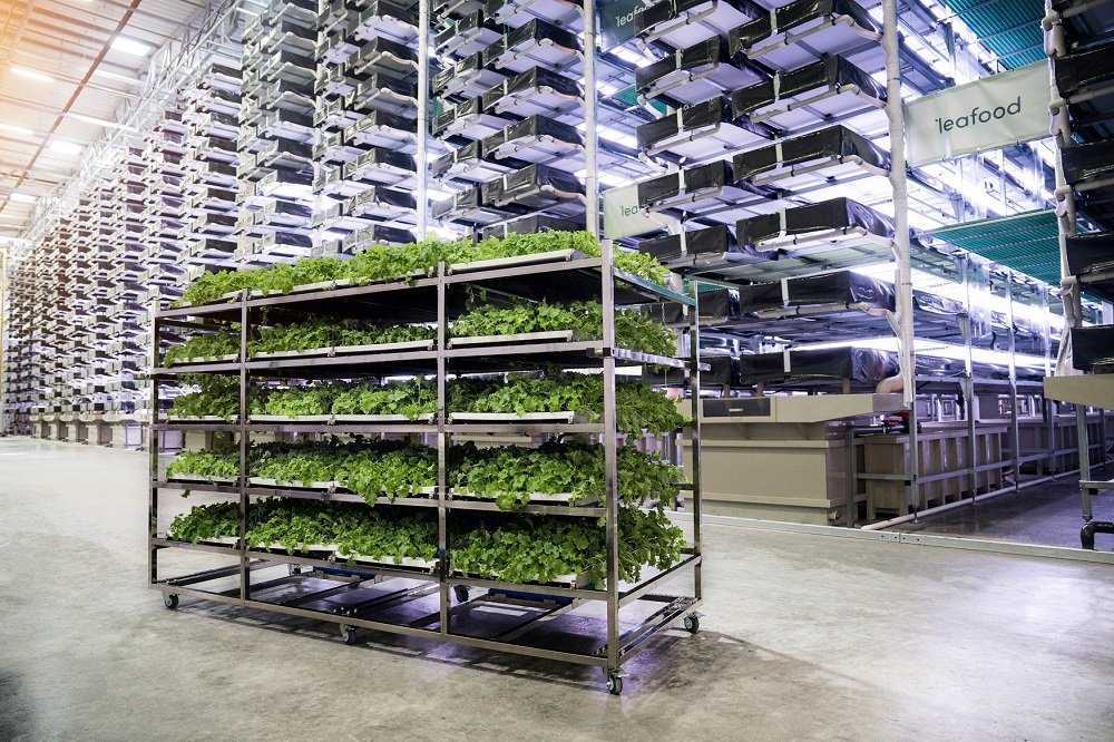 [기획연재] 호미농부의 도시농업 대백과 08