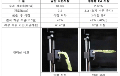 봄배추 한여름까지 아삭하게… 농진청 능동형 CA 저장고 확대 보급