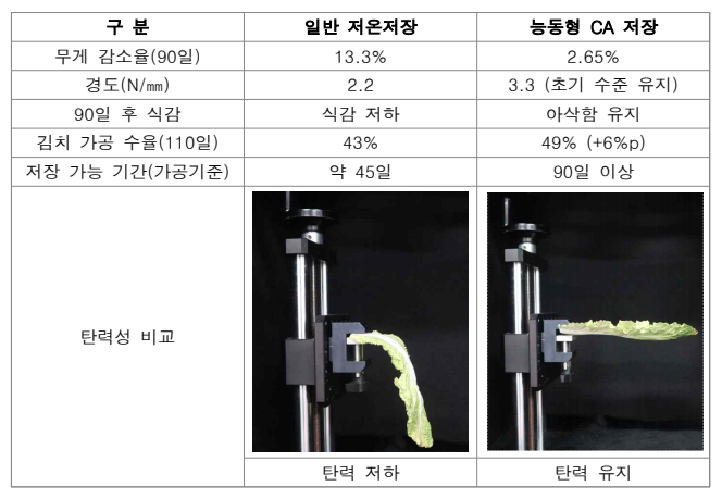 능동 CA 저장기술 특성